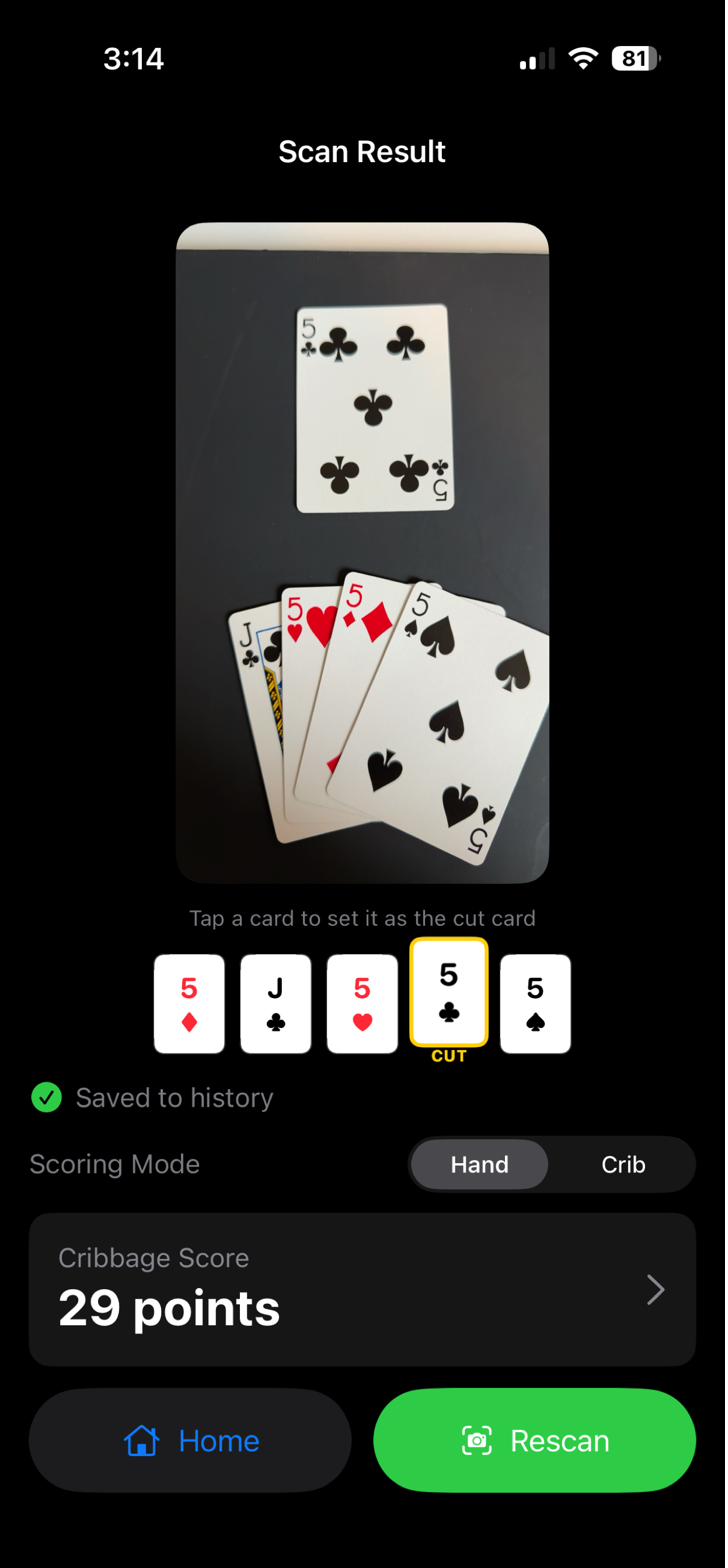 CribVision — scan result