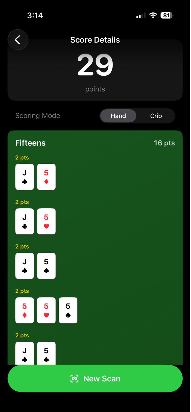 CribVision — score breakdown